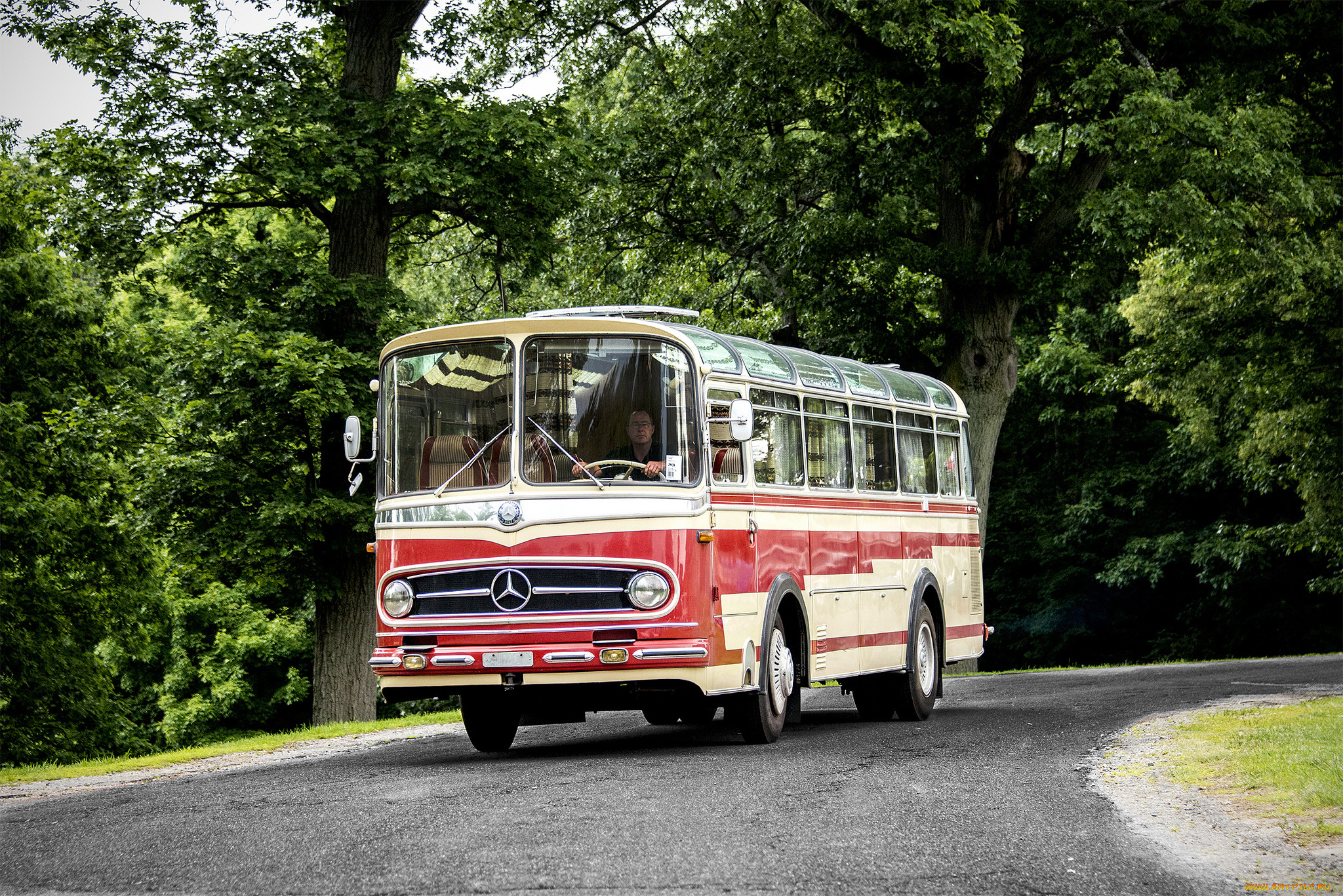 mercedes-benz o 321 h, , , , , 